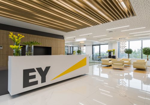 ernst-young-11